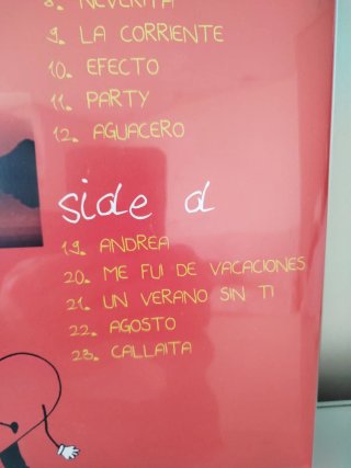Vinilo Un Verano Sin Ti