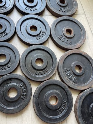 Discos de pesas y barras gimnasio ~30kg