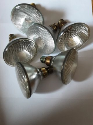 6 Reflectores Halógenos PAR38
