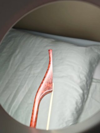 Arco Barroco Magdalena Sapeta Violín.