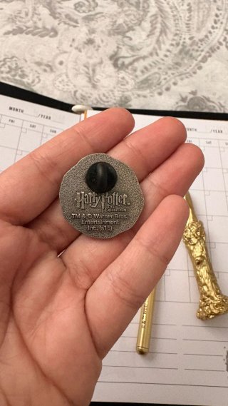 Agenda Harry Potter Pociones + Broche