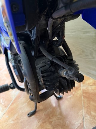 Yamaha PW50 2025