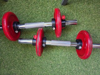 Mancuernas Salter con discos rojos