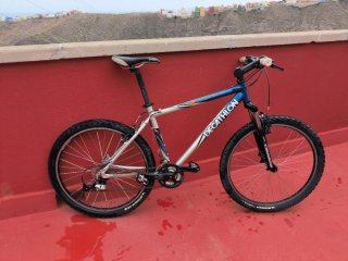 Bicicleta de montaña plateada