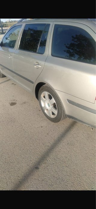 Skoda Combi 2007