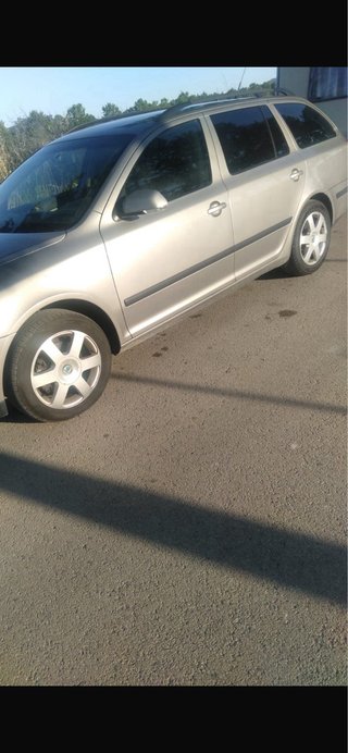 Skoda Combi 2007