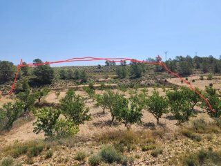 Terreno, parcela rustica