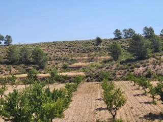 Terreno, parcela rustica