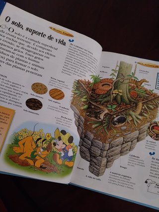 O Mundo Vegetal, aprende com a Disney, Flores