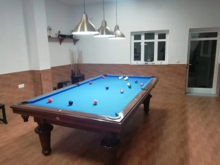 Mesa de billar profesional 9 pies