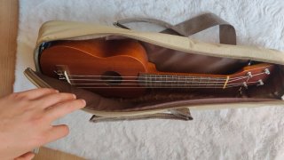 Oferton! Ukelele Flight