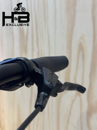 Kettler Quadriga T&C Pro Belt Shimano Nexus 2022