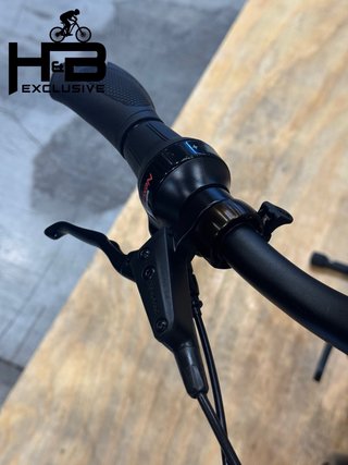 Kettler Quadriga T&C Pro Belt Shimano Nexus 2022