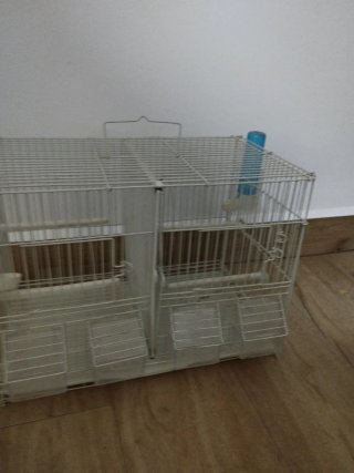 Jaula para pájaros con bebederos