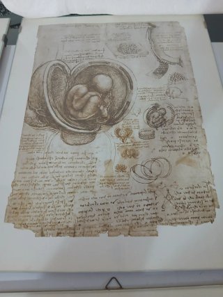 Set 6 stampe vintage Leonardo da Vinci