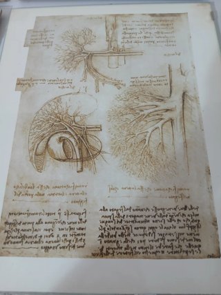 Set 6 stampe vintage Leonardo da Vinci