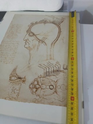 Set 6 stampe vintage Leonardo da Vinci