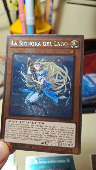 Carte Yu-Gi-Oh! Nobili Armi