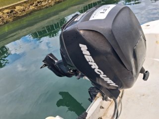 Barco Quicksilver 500 fish
