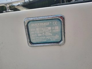 Barco Quicksilver 500 fish