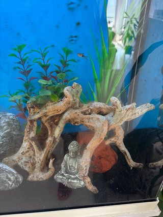 Acuario 120L con mueble y decoración