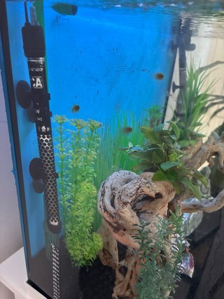 Acuario 120L con mueble y decoración