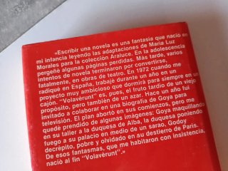 Volavérunt: Novela (Colección Autores españo...