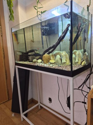 Acuario 120L completo