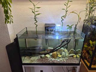 Acuario 120L completo