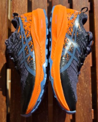 Asics Gel Fuji Lite 2 Talla 41.5