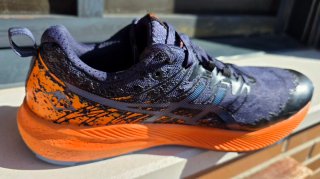 Asics Gel Fuji Lite 2 Talla 41.5