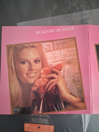 Doble LP Vinilo Broadway Hit Parade