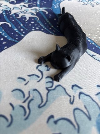 Gato Fidget Toy Impreso 3D PLA