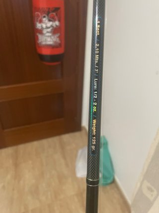 Caña Casting Jinza y Carrete Daiwa