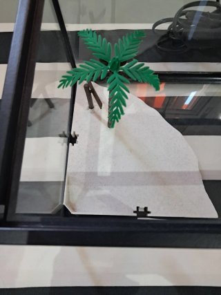 Terrario para tortugas