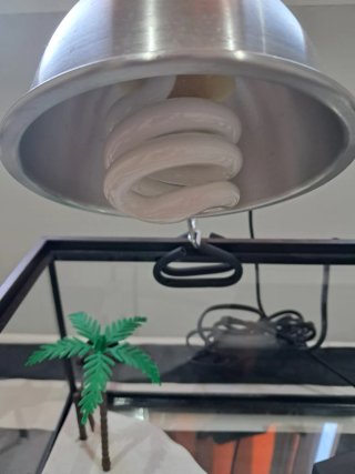 Terrario para tortugas