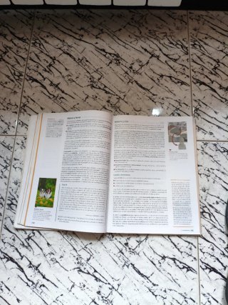 Libro de Texto Filosofía Bruño Bachillerato
