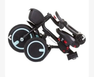 Triciclo evolutivo