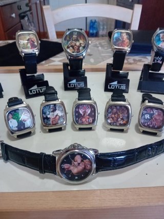 Lotto 15 Orologi Lotus WWE