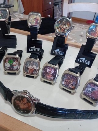 Lotto 15 Orologi Lotus WWE