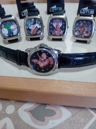 Lotto 15 Orologi Lotus WWE
