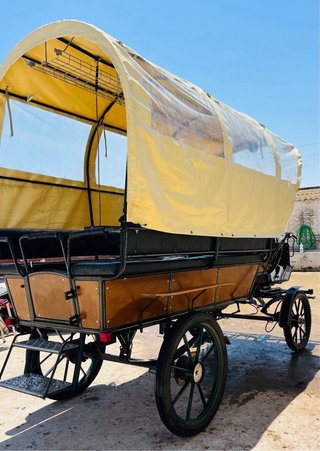 Coche de caballos tipo vagoneta