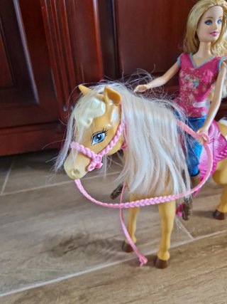 Barbie y caballo con accesorios