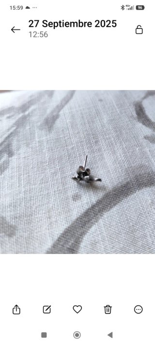 Pendiente lagartija plata