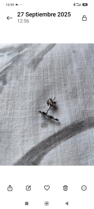Pendiente lagartija plata