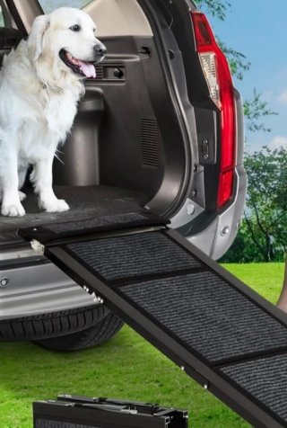 Rampa Perros Plegable Antideslizante 180x44