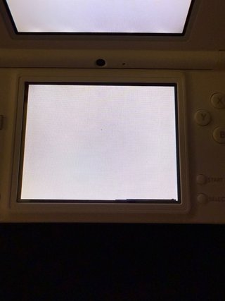 Nintendo DSi Blanca + Mario Princess Peach