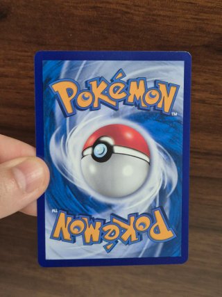 Horsea Pokémon Gem Pack 5 CBB5C | Original