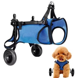 A estrenar .Silla Ruedas Perro Pequeño Talla XS