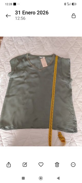 Blusa